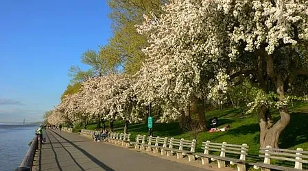 Rented by DJK Residential