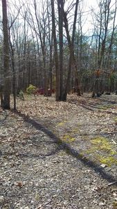 Bibees Rd, Madison Heights, VA, 24572