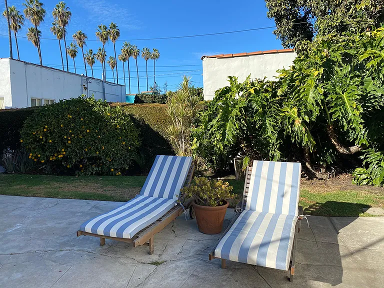 Shared backyard with lemon and avocado tree
