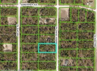 16123 Marsh Quail Rd, Brooksville, FL 34614