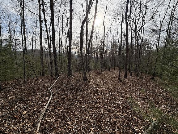3rd image of Cutcane Rd