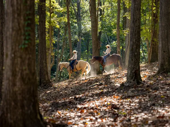 1520 Natchez Rd, Franklin, TN 37069