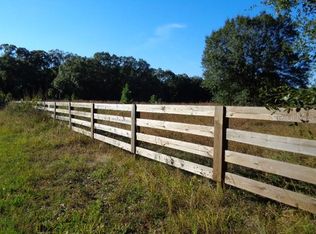 22415 Bell Lake Rd, Land O Lakes, FL 34639