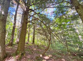 0 W Curleys Blvd, Paradise, MI 49768