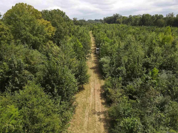 Highway 171, Many, LA 71449