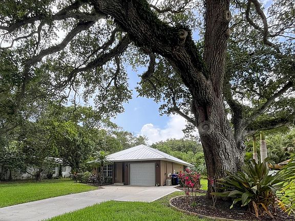 Gorgeous tree shading the front yard