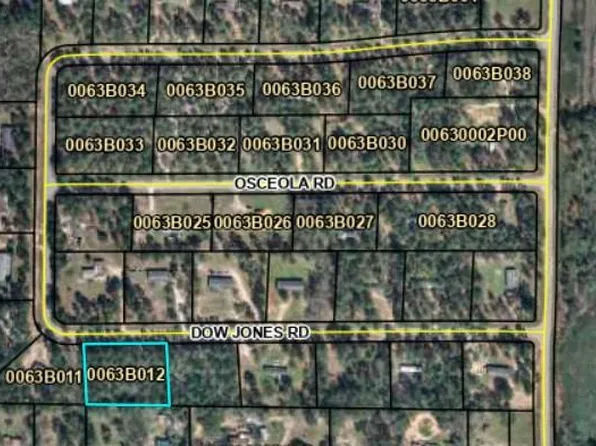 LOT 12 Dow Jones Rd, Bainbridge, GA 39817