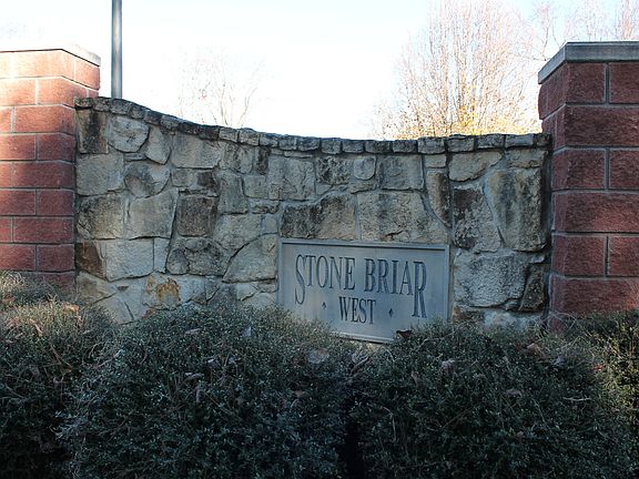 Stone Briar