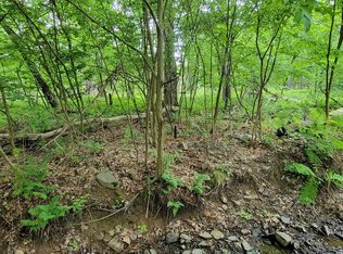 157 Lake Country Ln, Narrowsburg, NY 12764