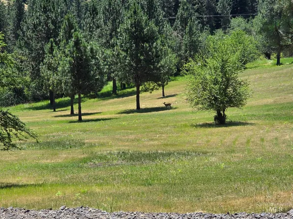 Wild Plum Ln, Kooskia, ID 83539