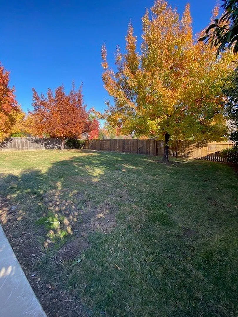 Large 3 Bed 2 Bath W/Bonus Room House In The River Ridge Park Subdivision — Photo 4
