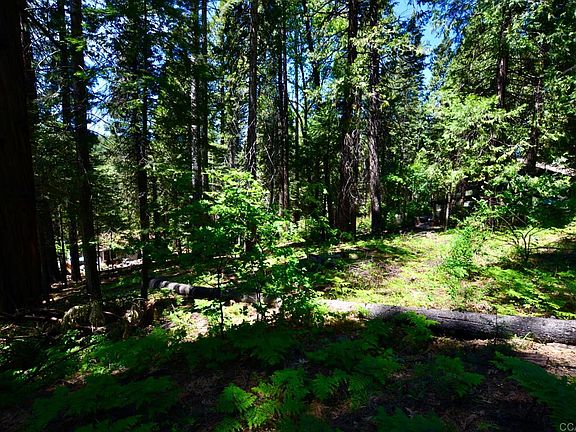 2nd image of 3080 Pine Lake Dr #185