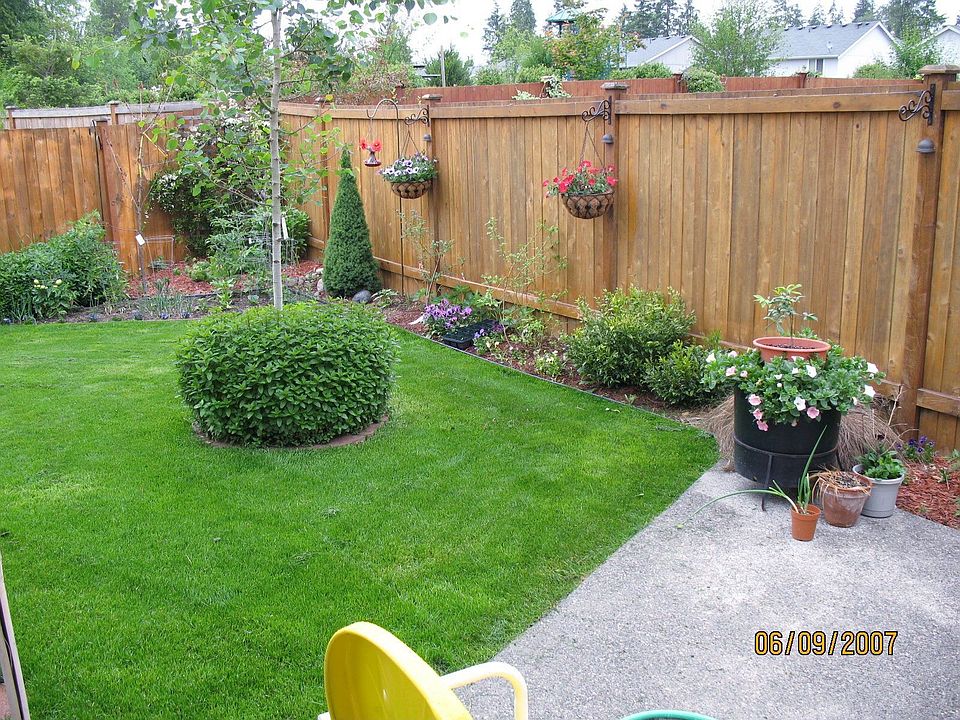 Back yard