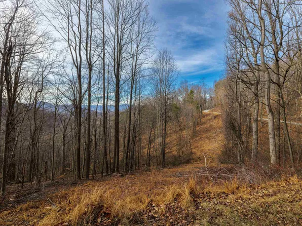 Hensley Holw, Elkton, VA 22827