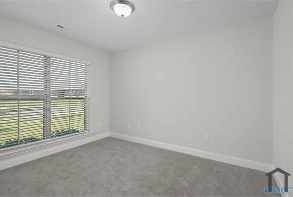225 Alonzo Toney Dr — Photo 16