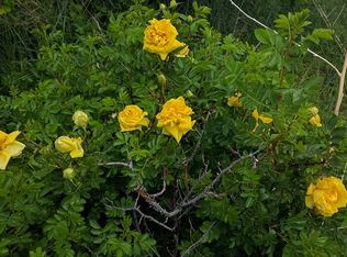 260 Ramsey Way, Reno, NV 89506