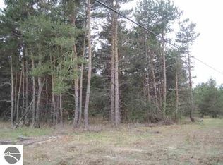 0 E M 42, Manton, MI 49663