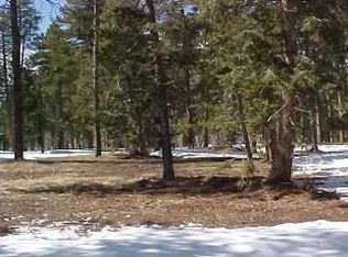 10701 Oehlmann Ave, CONIFER, CO 80433