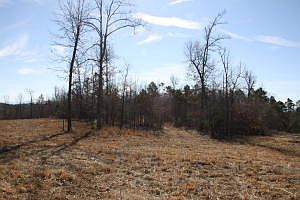 2nd image of LOT 3 Buffalo
