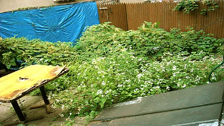 Rented by The LeBlanc Organization Inc