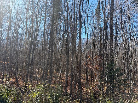 4th image of ON PINE CREEK RD