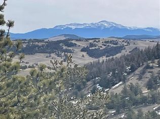 Antelope Road LOT 1558, Hartsel, CO 80449