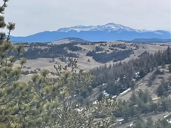 Antelope Road LOT 1558, Hartsel, CO 80449