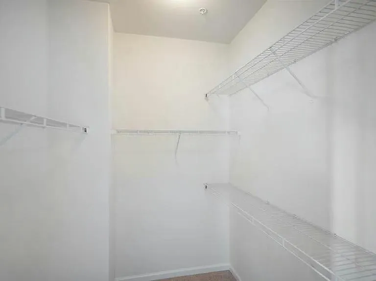 11830 Steeplebush Dr — Photo 15
