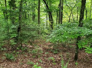 8 Brasstown, Warne, NC 28909