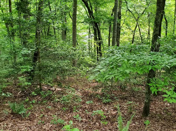 8 Brasstown, Warne, NC 28909