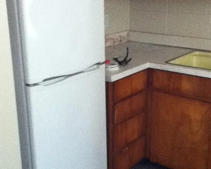 111 Chicago Ave SE #2 — Photo 12