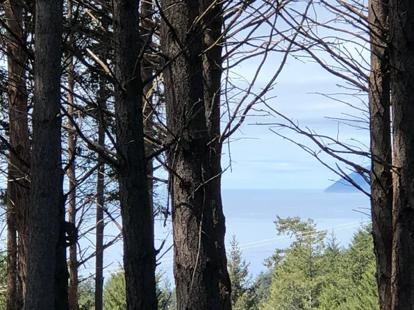 30 Fir Ct, Whitethorn, CA 95589