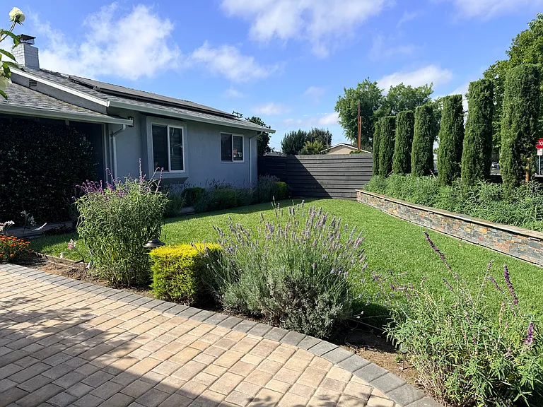 Frontyard