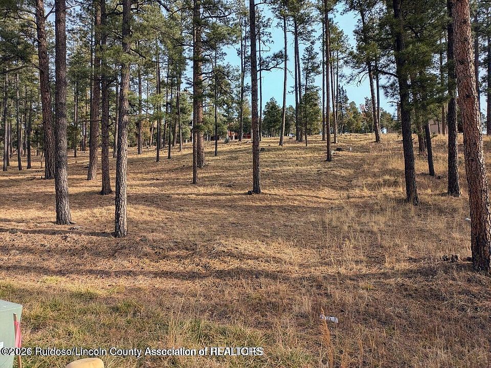 1st image of 322 White Mountain Meadows Dr