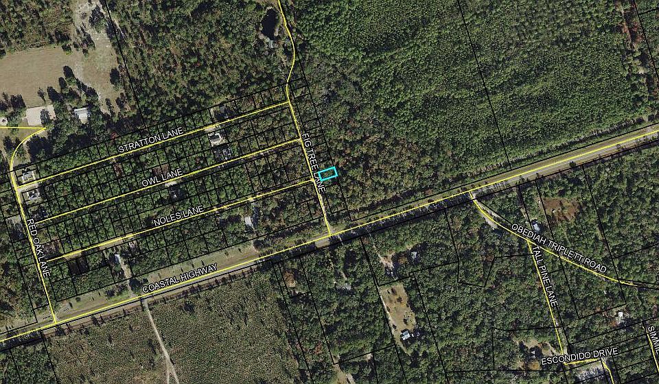 2nd image of 5 Fig Tree Ln