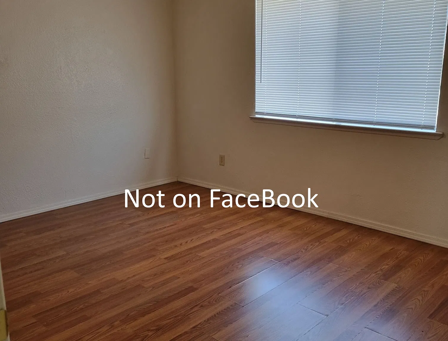 2 bed, 600 sqft, $1,200 — Photo 3