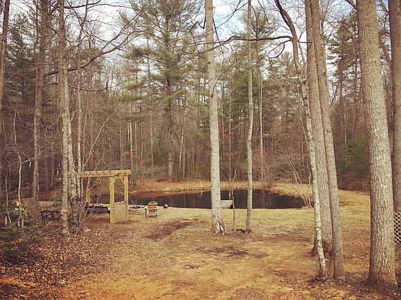 Pond and fire pit area