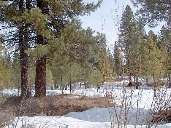 2nd image of LOT 1&2 Springs