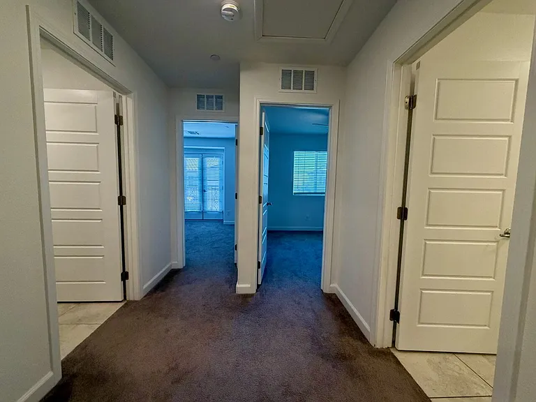 691 Pickled Pepper Pl — Photo 28