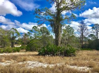 1304 Homosassa Dr, Poinciana, FL 34759