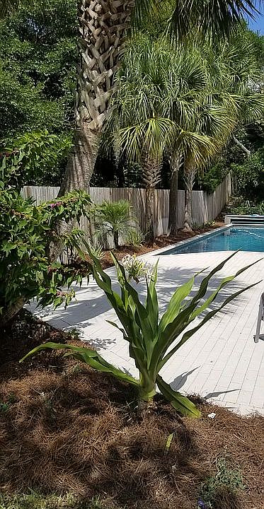 1st image of 2804 Magnolia Woods Ct