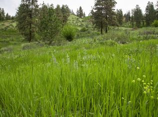 4737 Brisky Canyon Rd LOT 2, Cashmere, WA 98815