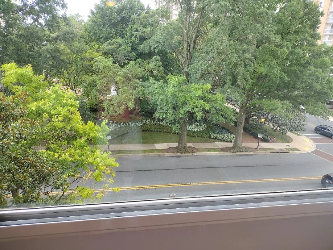 Studio, 314 sqft, $1,650 — Photo 4