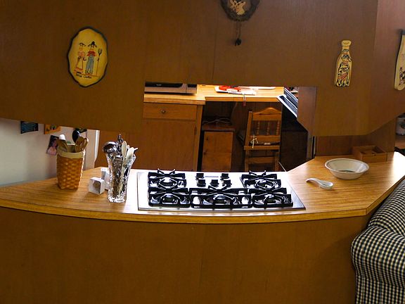 Fridgedaire gas stove