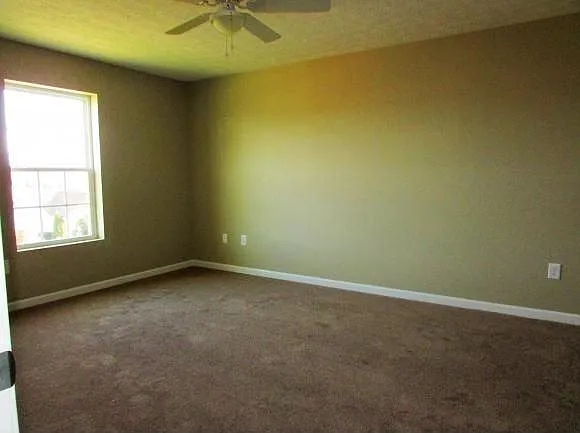 31 Primrose Ct — Photo 6