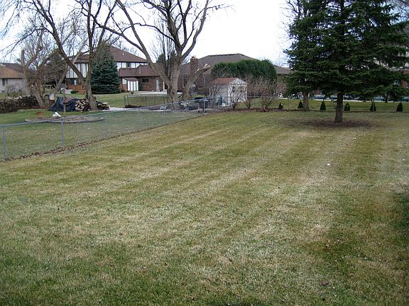 Huge backyard