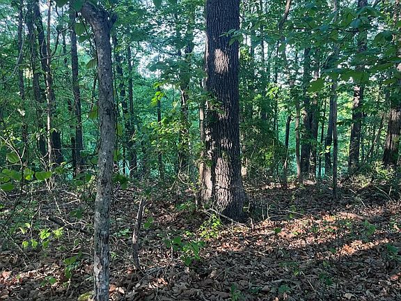 5th image of 4783 Randolph Rd