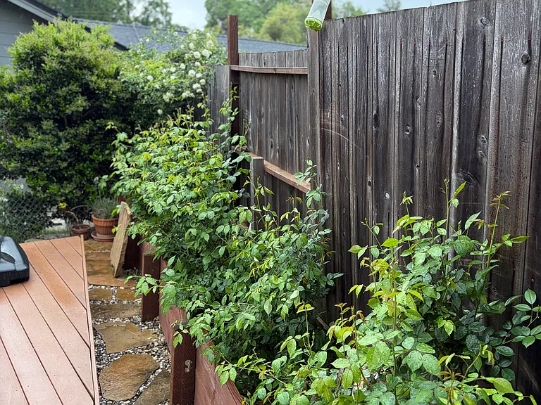 Forest Dr — Photo 22