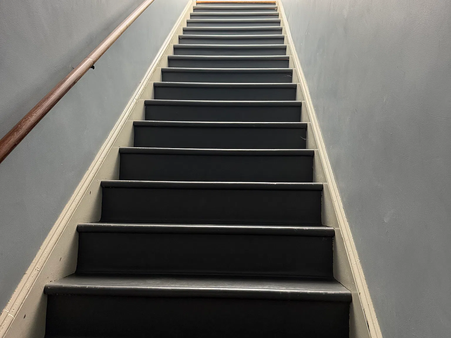 1 bed, $950 — Photo 4