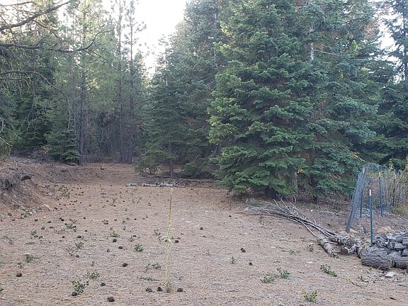 2nd image of 76 & 20 Vireo & Blackbird Dr